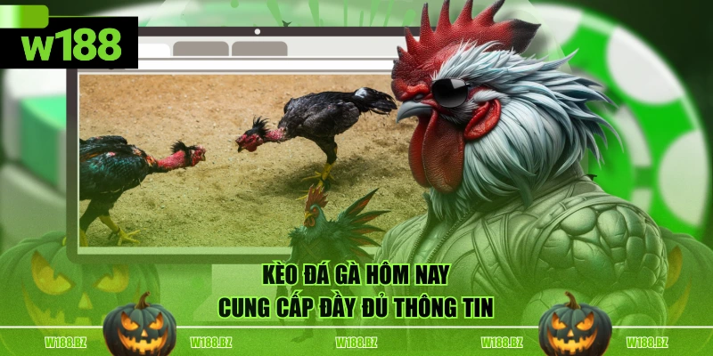 Mẹo Chọn Kèo Đá Gà Hôm Nay Chuẩn Xác, Dễ Trúng Cho Bet Thủ 2 Kèo đá gà hôm nay cung cấp đầy đủ thông tin